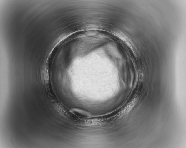 X0000095670973200802051227