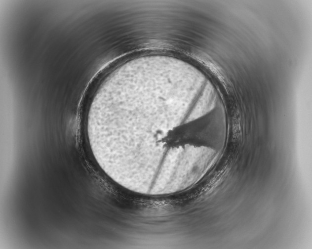 X0000095670975200802051227