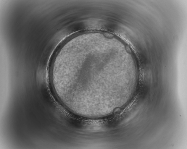 X0000095670976200802051226