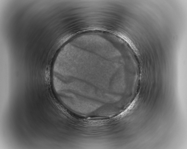 X0000095670977200802051226