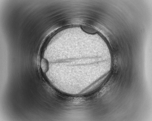 X0000095670979200802051226