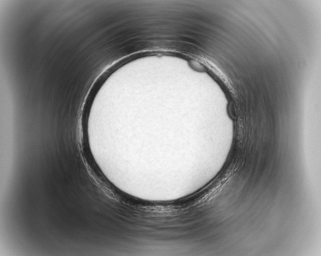 X0000095670980200802051226