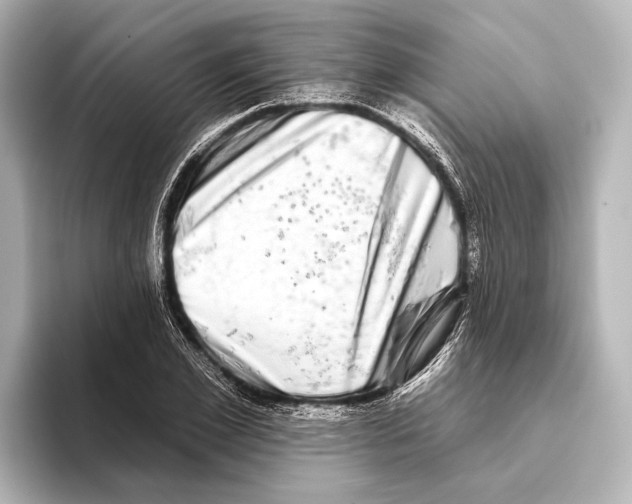 X0000095670981200802051226