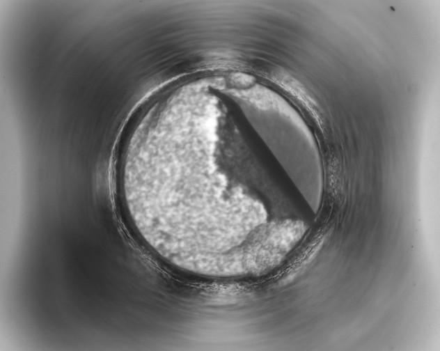 X0000095670983200802051226