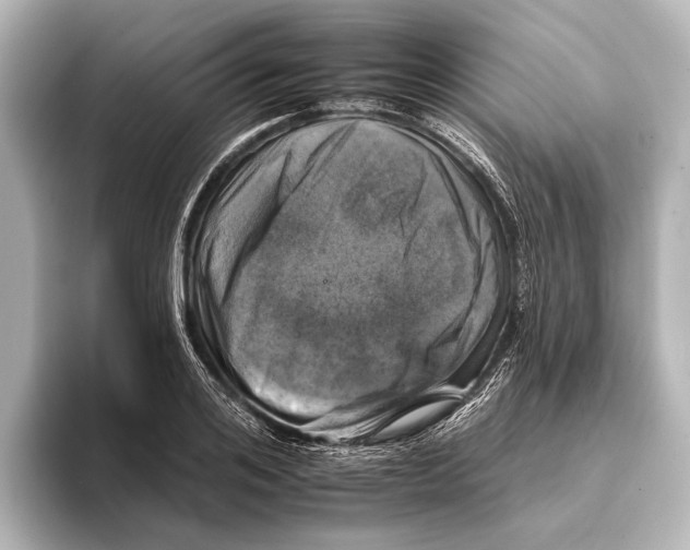 X0000095670984200802051226