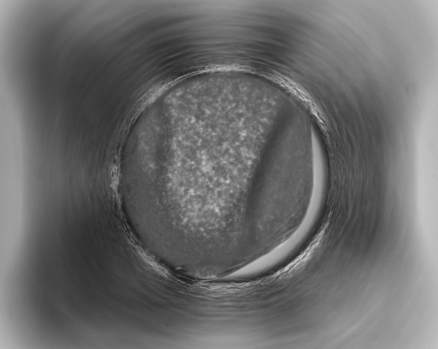 X0000095670985200802051226