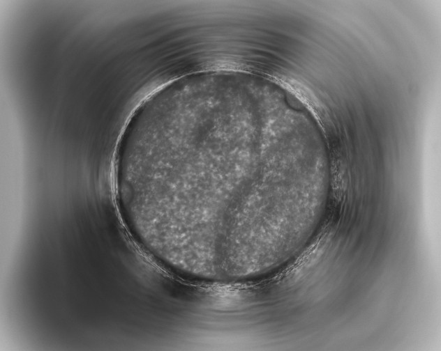 X0000095670987200802051226