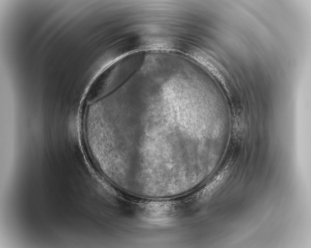 X0000095670989200802051226