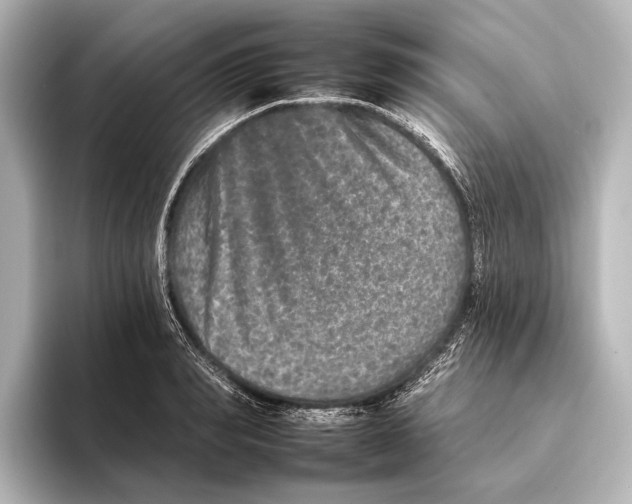 X0000095670990200802051226