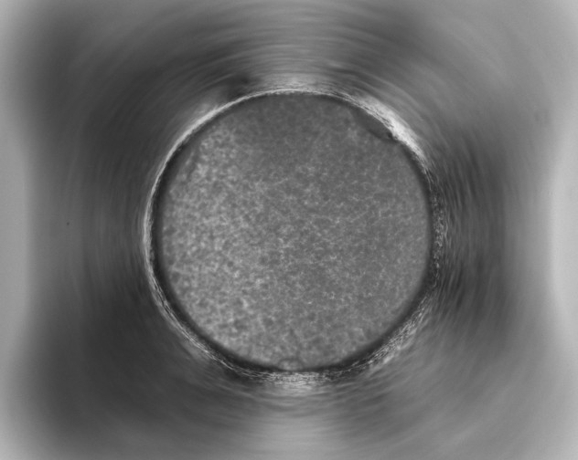 X0000095670991200802051226