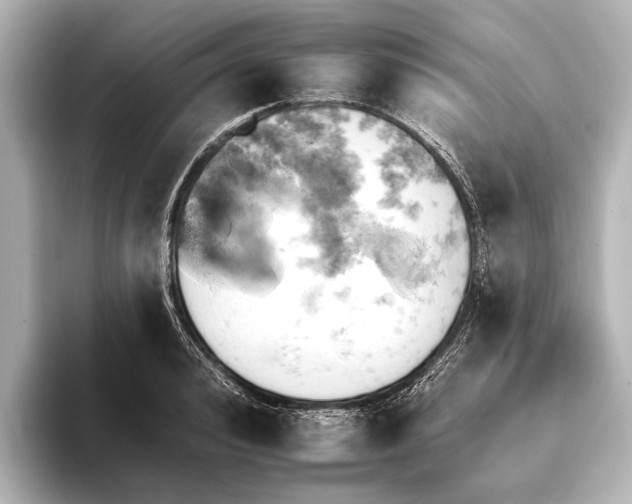 X0000095670992200802051226