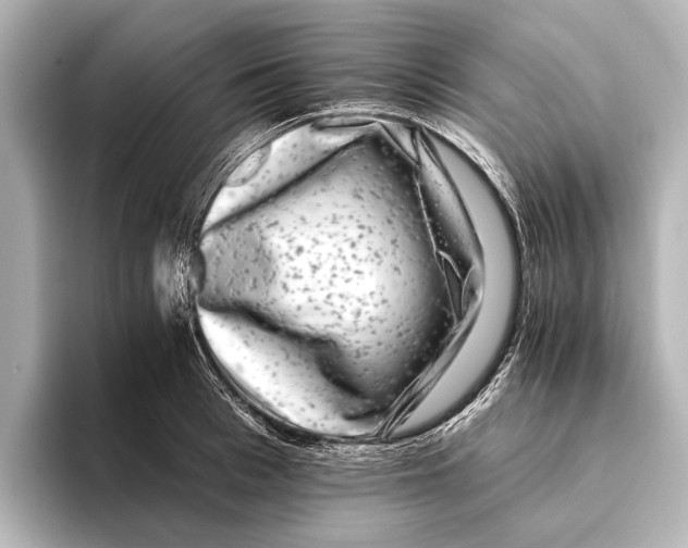 X0000095670993200802051226