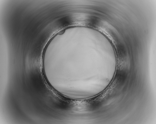 X0000095670994200802051226