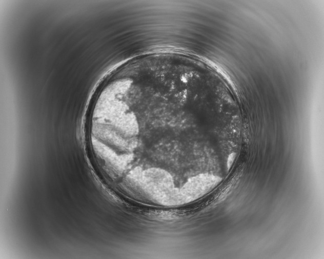 X0000095670995200802051226