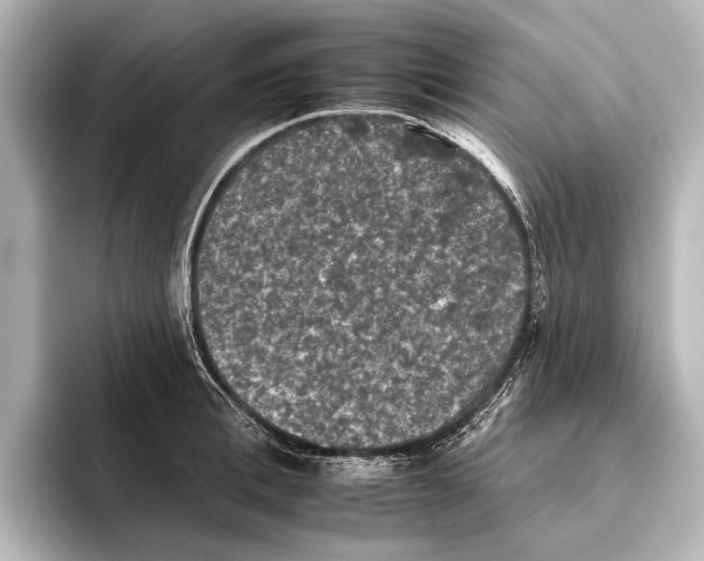 X0000095670996200802051226