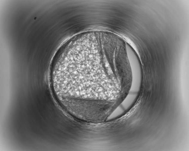 X0000095670997200802051226