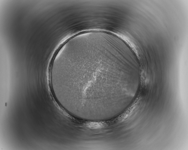 X0000095670998200802051226