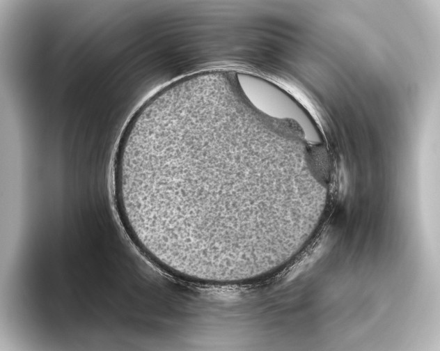 X0000095670999200802051226