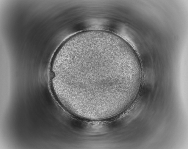 X0000095671000200802051226