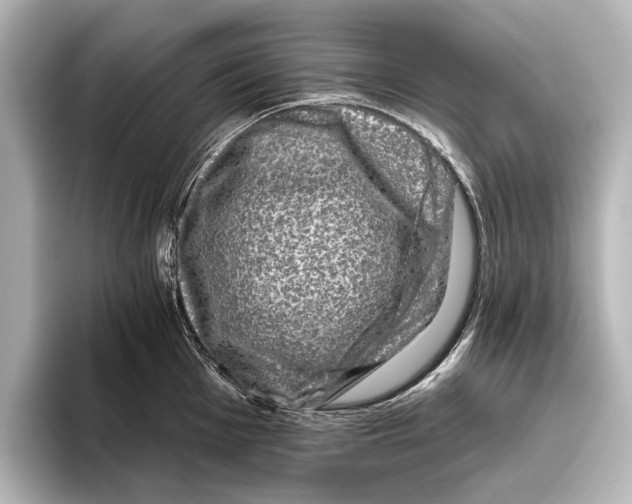 X0000095671001200802051226