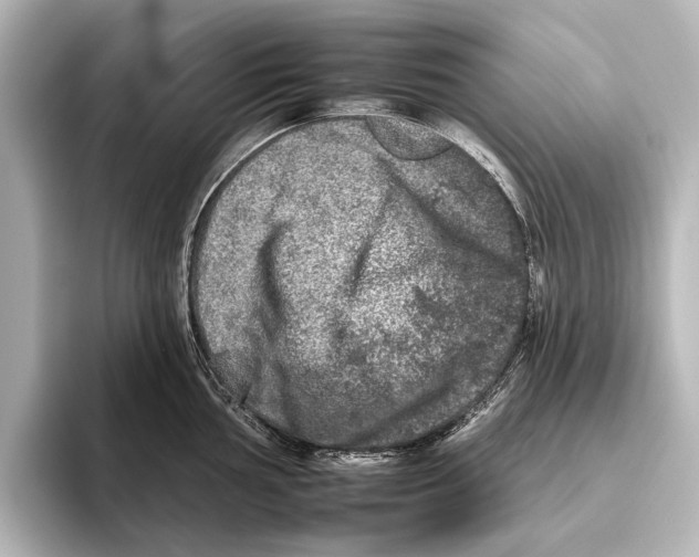 X0000095671002200802051226