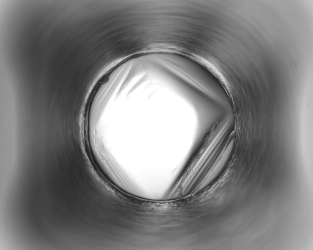 X0000095671003200802051226