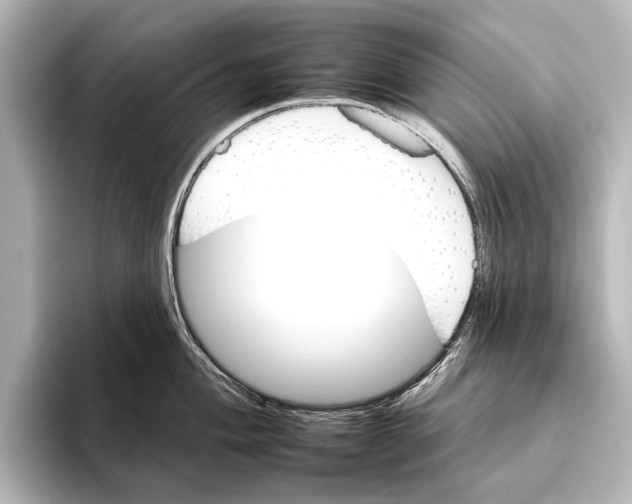 X0000095671004200802051226