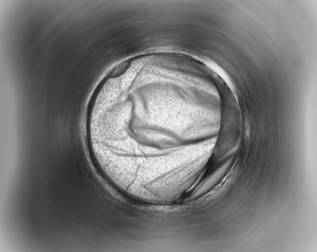 X0000095671005200802051226