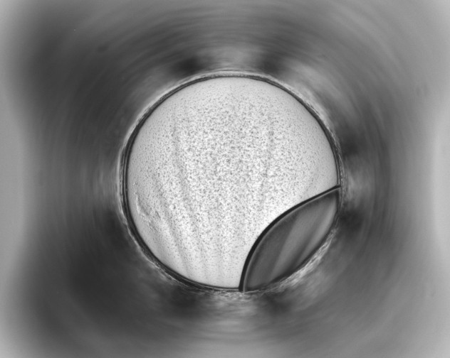 X0000095671006200802051226