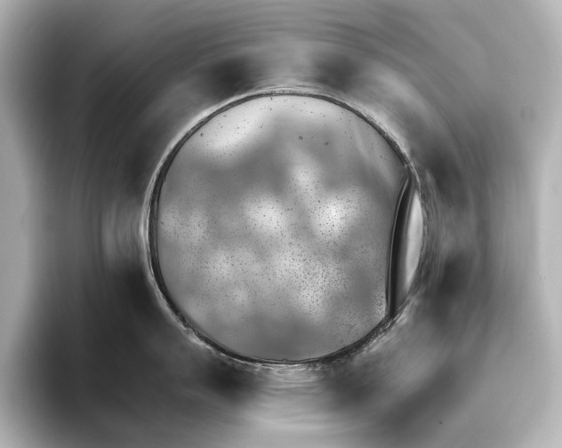 X0000095671007200802051226