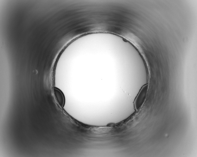 X0000095671008200802051226