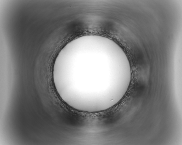 X0000095671009200802051225