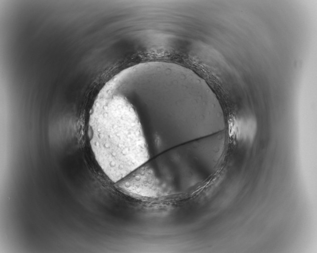 X0000095671011200802051225