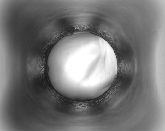 X0000095671012200802051225