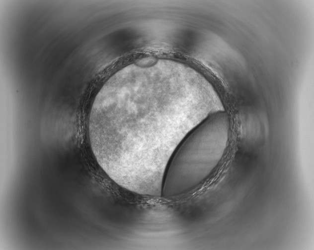 X0000095671015200802051226