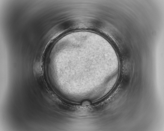 X0000095671018200802051226