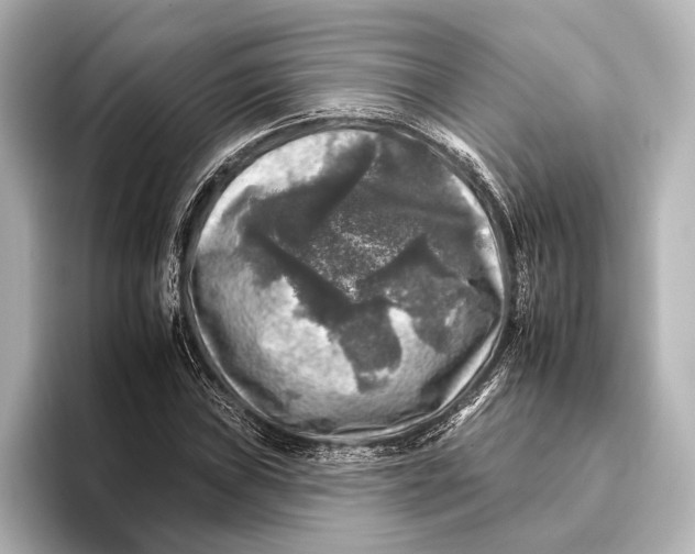 X0000095671019200802051226