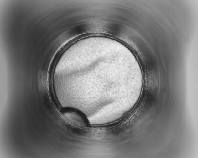 X0000095671020200802051226