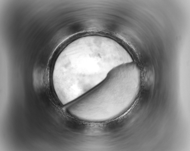 X0000095671021200802051226