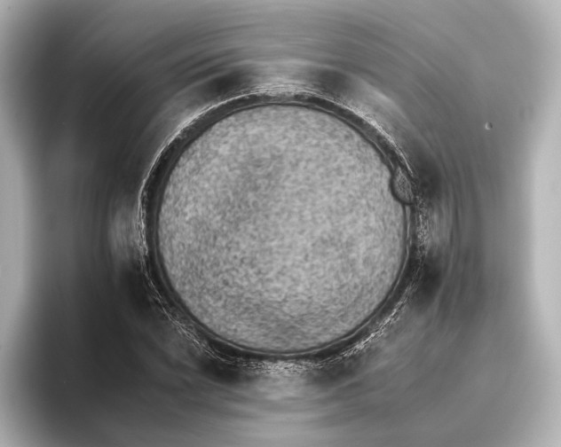 X0000095671022200802051226