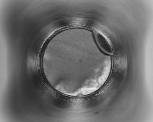 X0000095671023200802051226