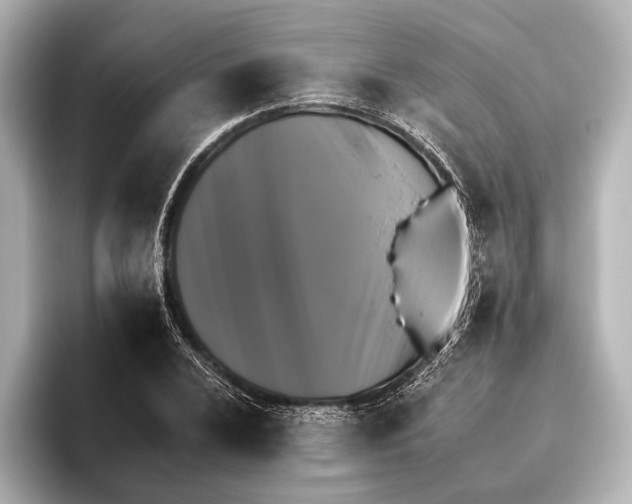 X0000095671024200802051226