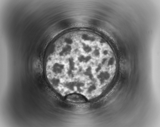 X0000095671025200802051226