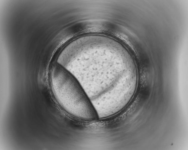 X0000095671026200802051226