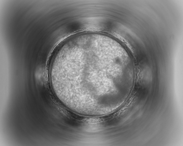 X0000095671027200802051226