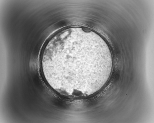 X0000095671028200802051226