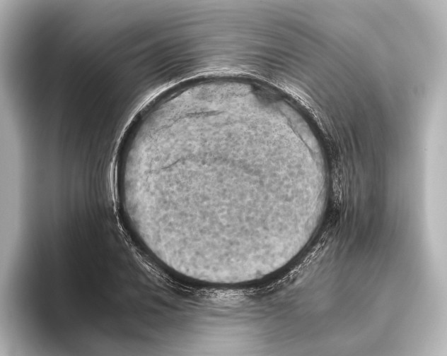 X0000095671030200802051226