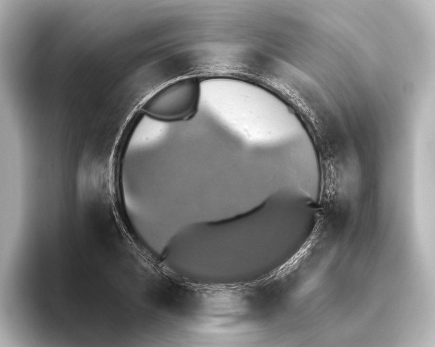 X0000095671031200802051226