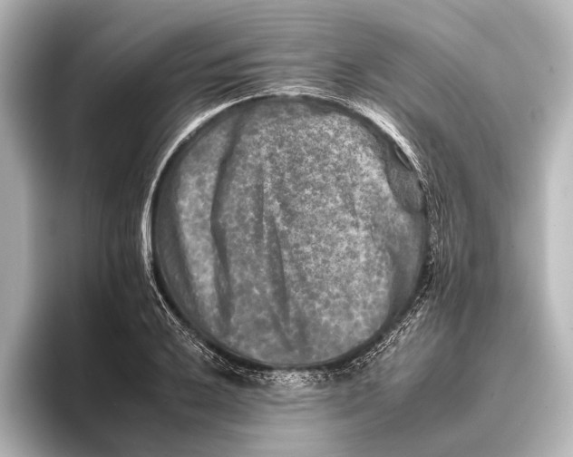 X0000095671032200802051226