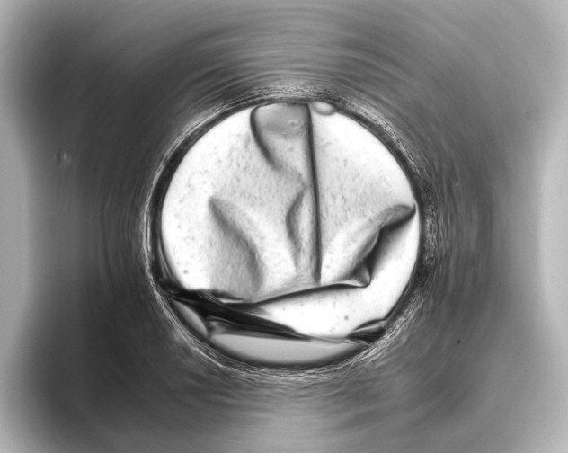 X0000095671034200802051226